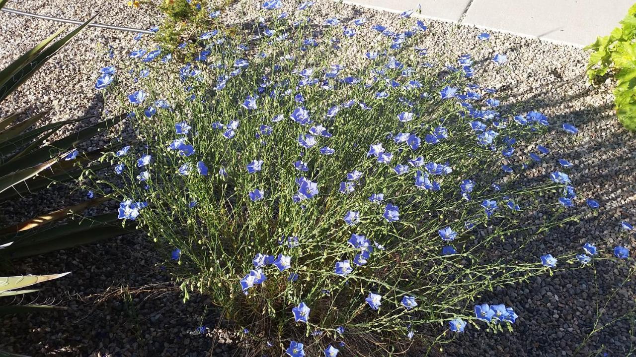 Sagebrush & Hotel 3*
