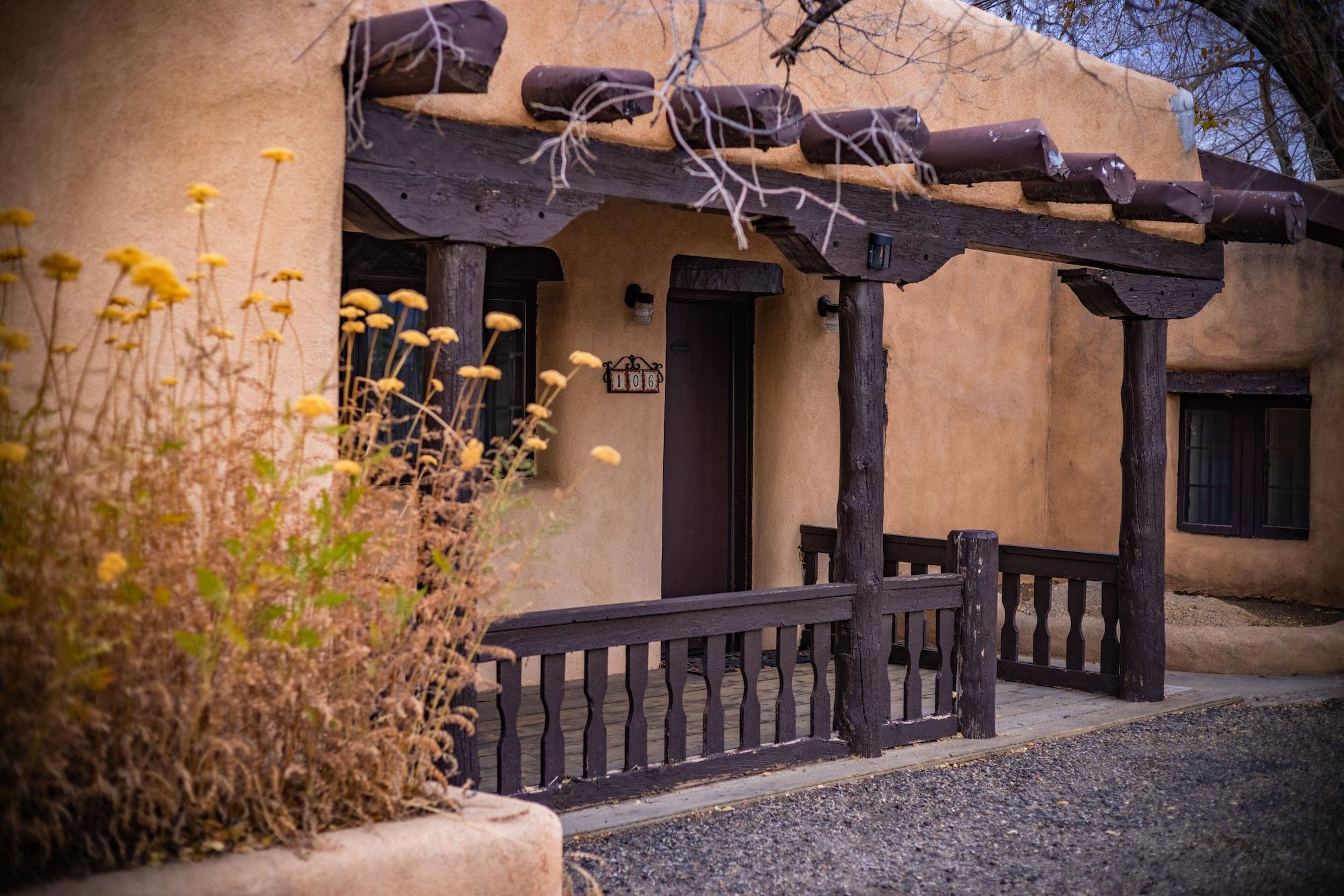 Sagebrush &